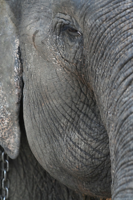 07-Si-Satchanalai-054