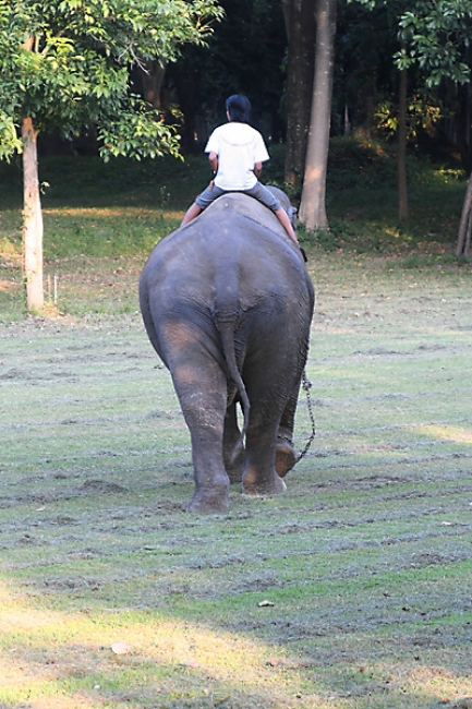 07-Si-Satchanalai-060