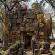 17-Prasat Hin Chom Phra-003