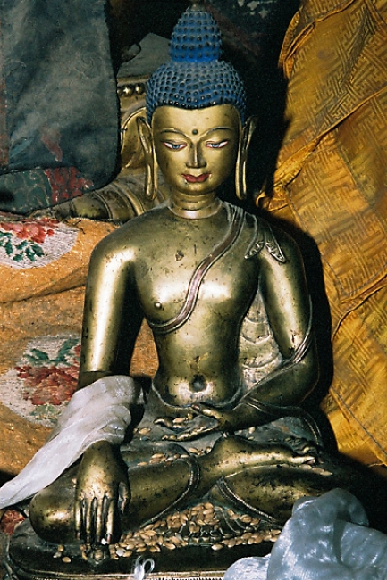 135_C