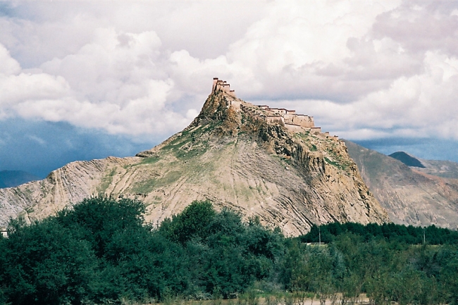 135_C