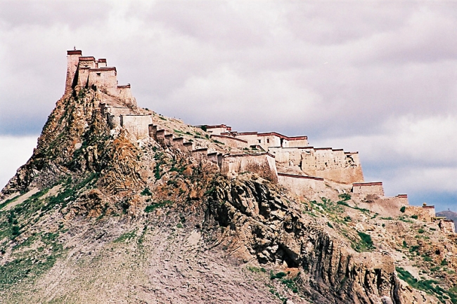 135_C