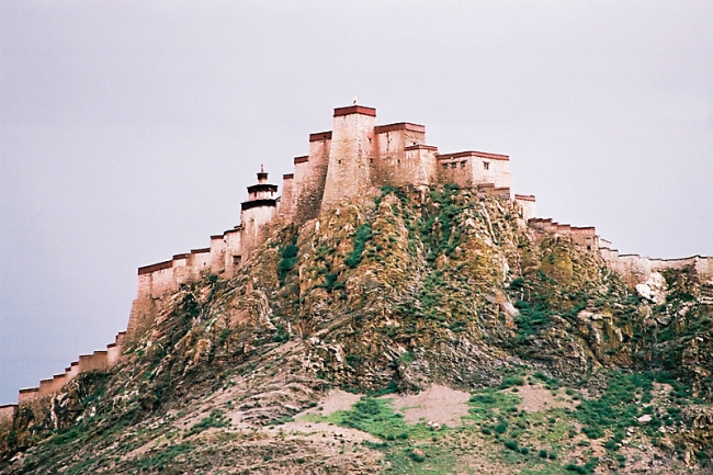135_C