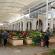 Tunis, Carthage-325