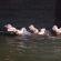 Hanoï-Thang Long water puppet show-019